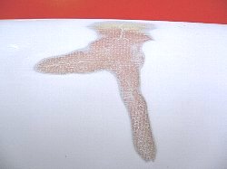 �G�|�L�V �v���Z�{ ���C�� 2